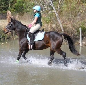 Donovan at Pine Hill (November 2010)