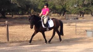 Working on our dressage skills, October 2015